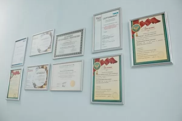 Камелия-Мед