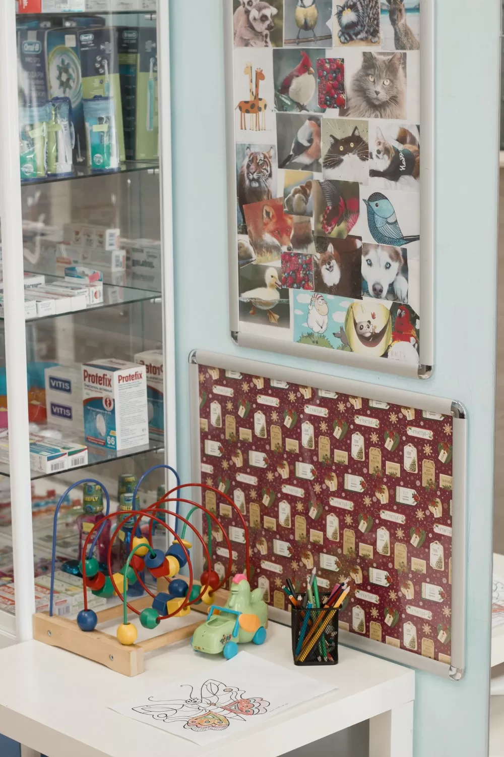 Камелия-Мед