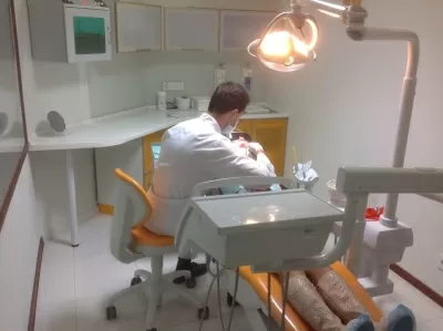 Новый Стандарт