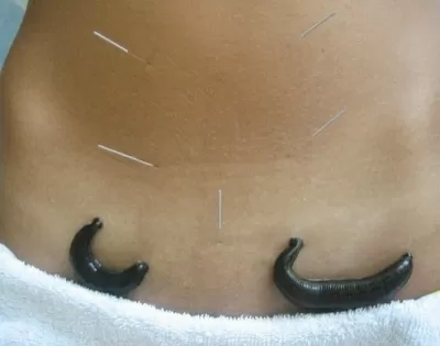 Долгожитель