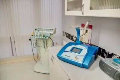 Вис Виталис