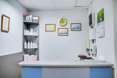 АМД Лаборатории