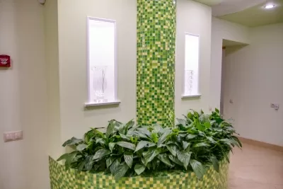 Первая неврология