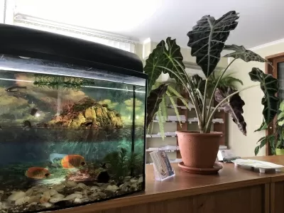 Лечебно-диагностический центр Семейный