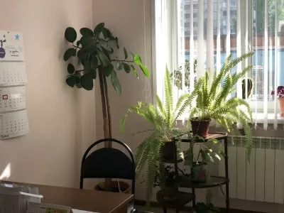 Лечебно-диагностический центр Семейный