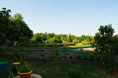 Психиатрическая больница