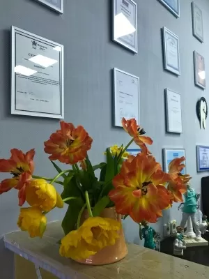 Стоматологическая практика Смелянского