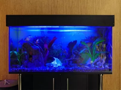 Клиника Луч