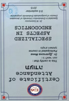 Профессионал