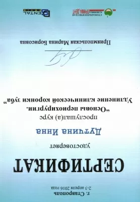 Профессионал