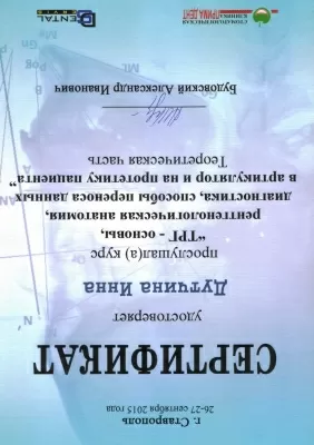 Профессионал