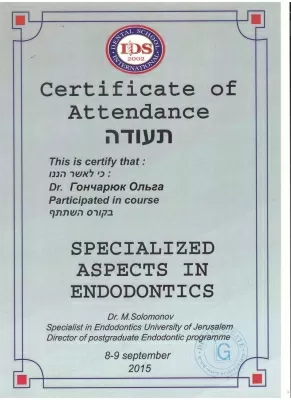 Профессионал