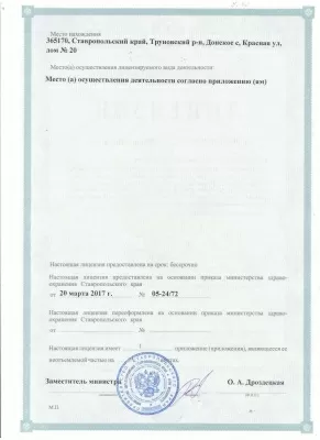 Профессионал