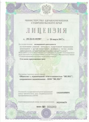 Профессионал