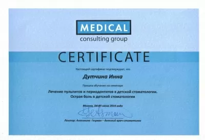 Профессионал