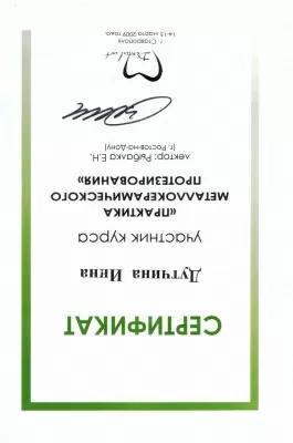 Профессионал