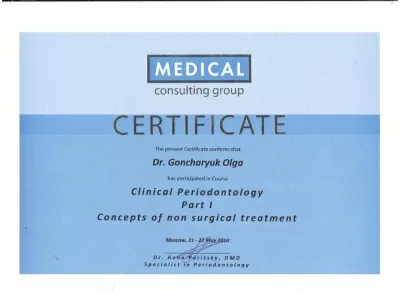 Профессионал