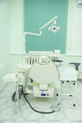 Династия Плюс