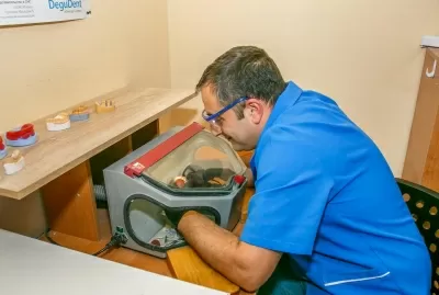 Доктор Дент