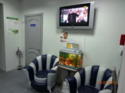 Виктория-Мед