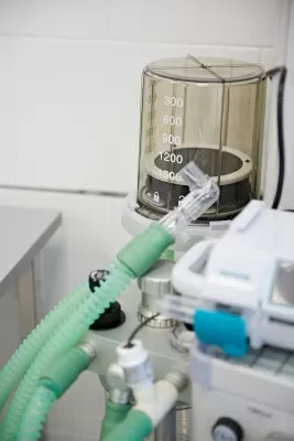 Академия Улыбки