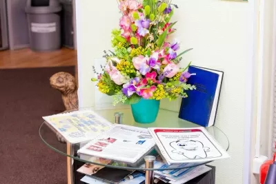 Дент-Мастер