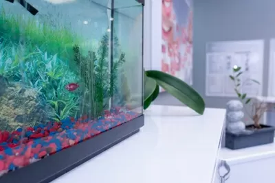 ДентаСтиль