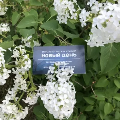 Стоматология Новый день