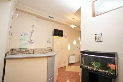 Мастер Дент