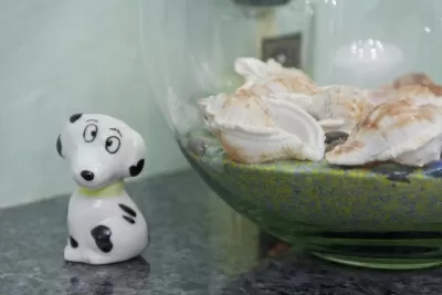 Белый жемчуг