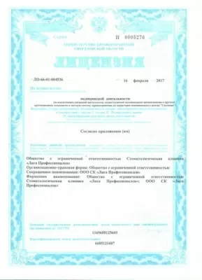 Лига Профессионалов