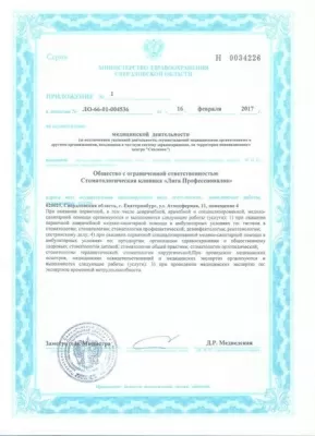 Лига Профессионалов