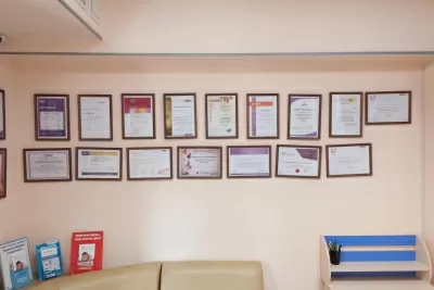 Лига Профессионалов