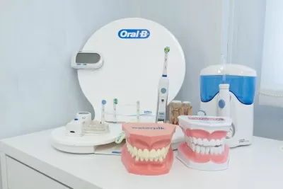 Лига Профессионалов