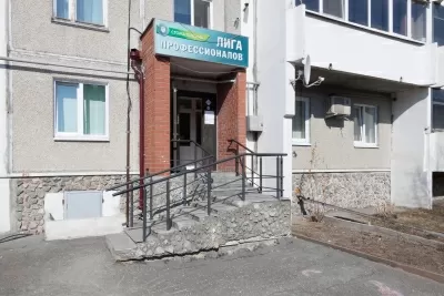 Лига Профессионалов