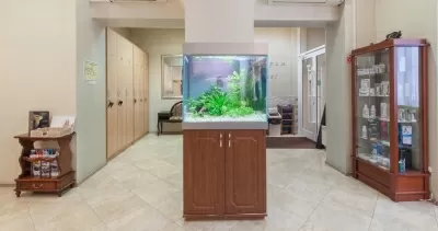 Классик Дент