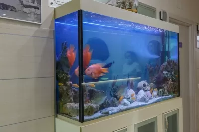 Стоматологическая клиника Апекс