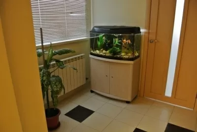 Стоматология Алита