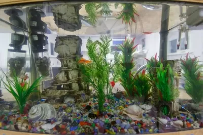 Стоматология Жемчуг