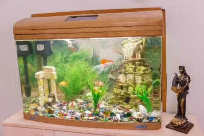 Стоматология Жемчуг