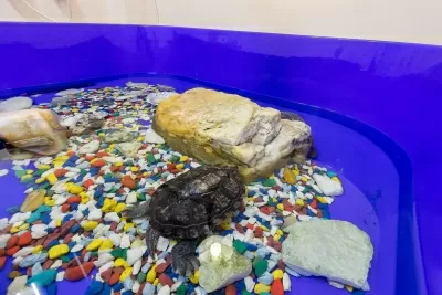 Семейная стоматология в Свердловском районе