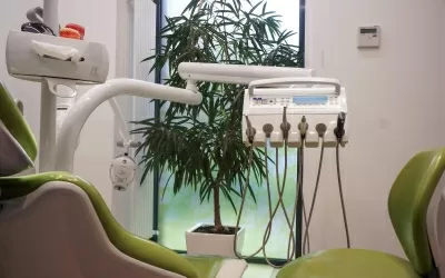 Любимая стоматология