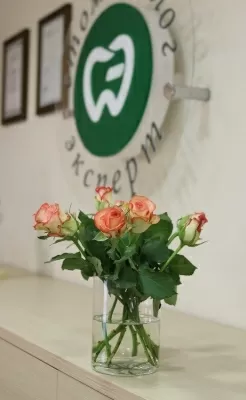 Стоматолог-Эксперт