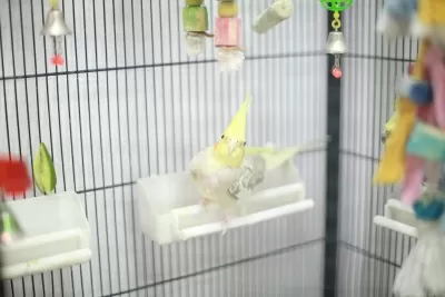 Центр детской и взрослой стоматологии