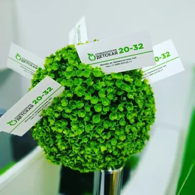 Детская стоматология 20/32