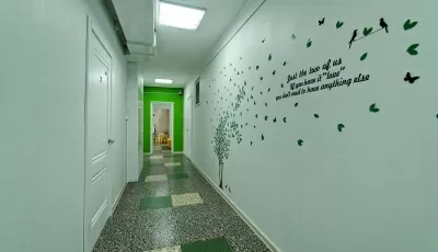 Детская стоматология 20/32