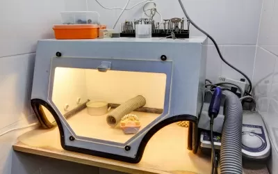 Стоматологическая клиника Iris