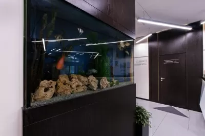 Стоматологическая клиника Агами