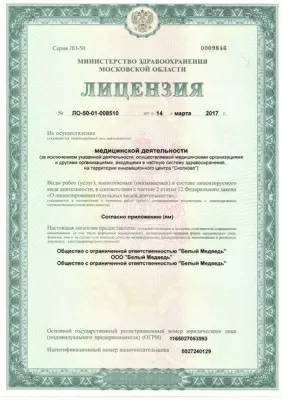 Белый медведь