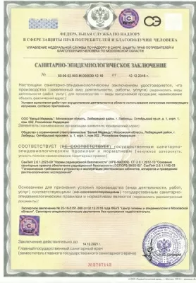 Белый медведь